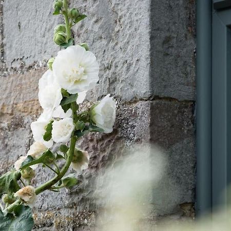 Luxury Cottage Near Hay-On-Wye Llanigon Exterior foto