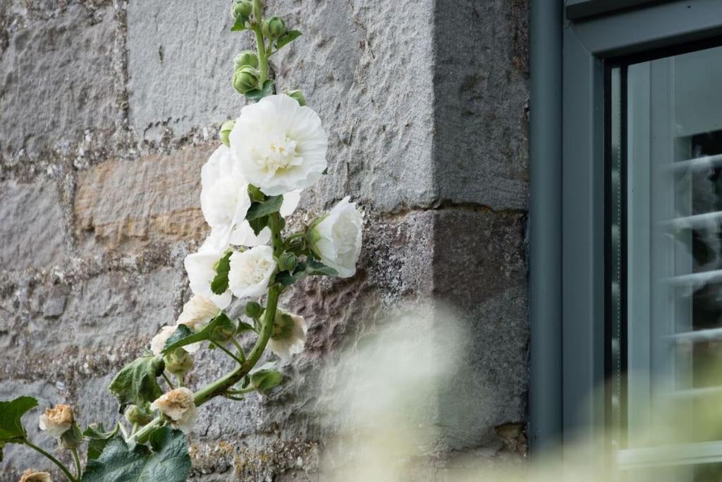 Luxury Cottage Near Hay-On-Wye Llanigon Exterior foto